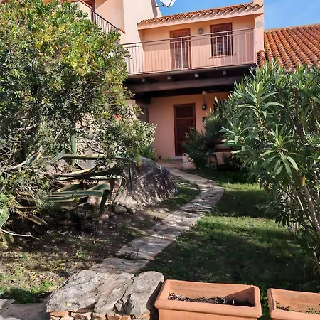 Tulipano